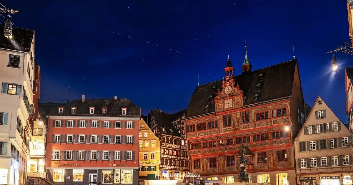 Starlink Install - Install Manual