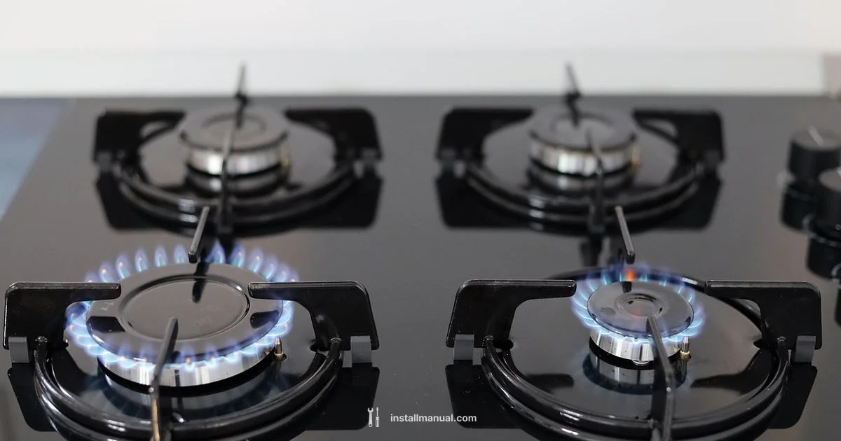 Gas Water Heater Cost - Install Manual