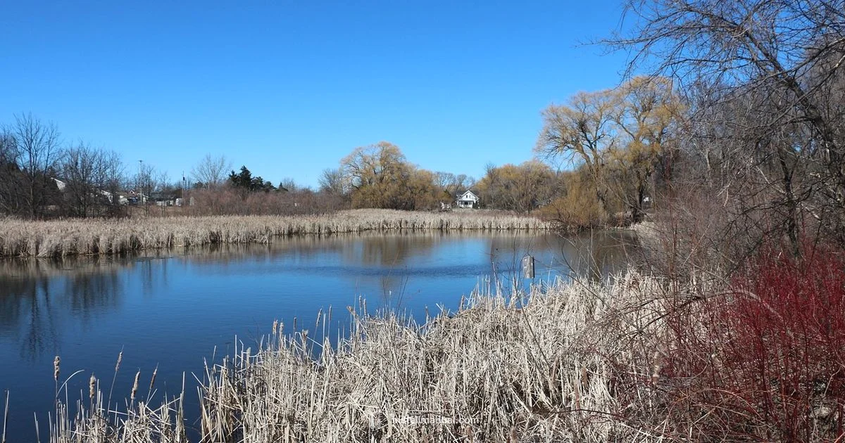 Backyard Pond Install - Install Manual