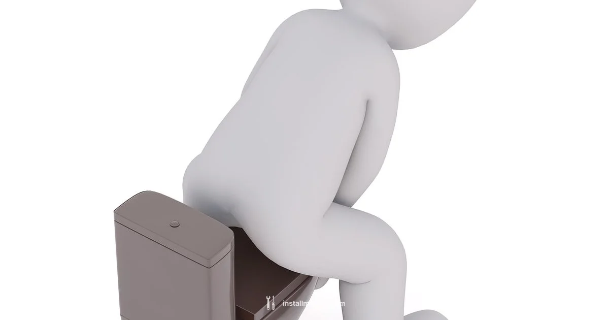 Toilet Install Guide - Install Manual