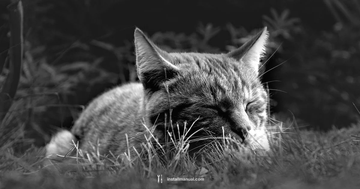 ADHD Sleep Guide ADHD Sleep Guide - Install Manual