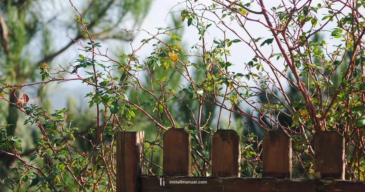 Wood Fence Cost Guide Wood Fence Cost Guide - Install Manual