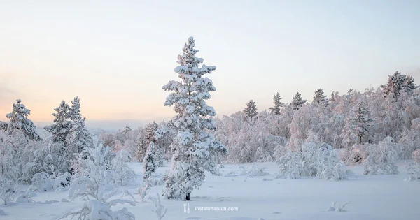 Winter Heat - Install Manual