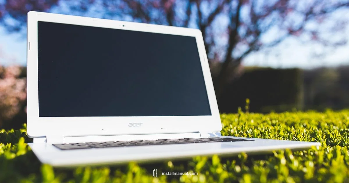 Plants vs Zombies on Laptop - Install Manual