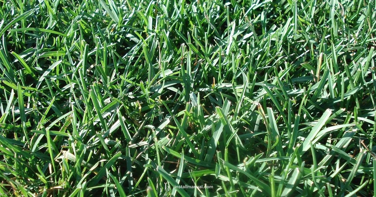 Lush Lawn, Fast - Install Manual