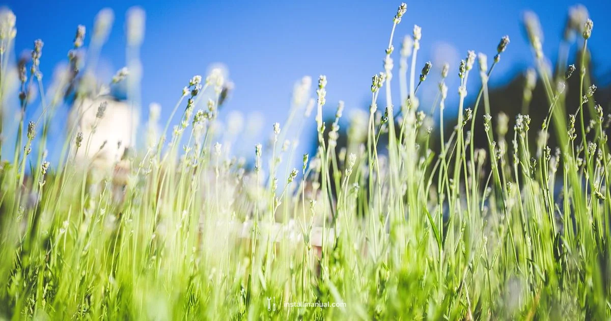 Add-Ons in Minecraft Add-Ons in Minecraft - Install Manual