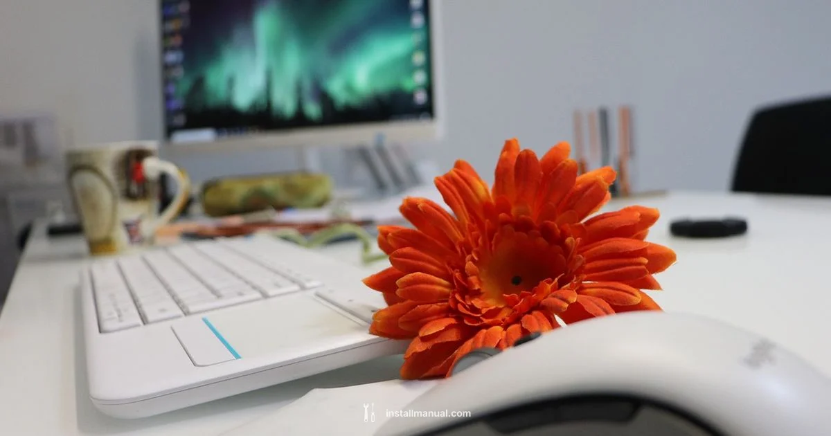 Linux Mint Setup - Install Manual