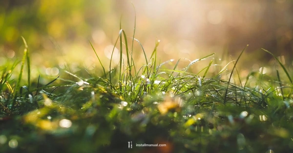 Install Sod Guide - Install Manual