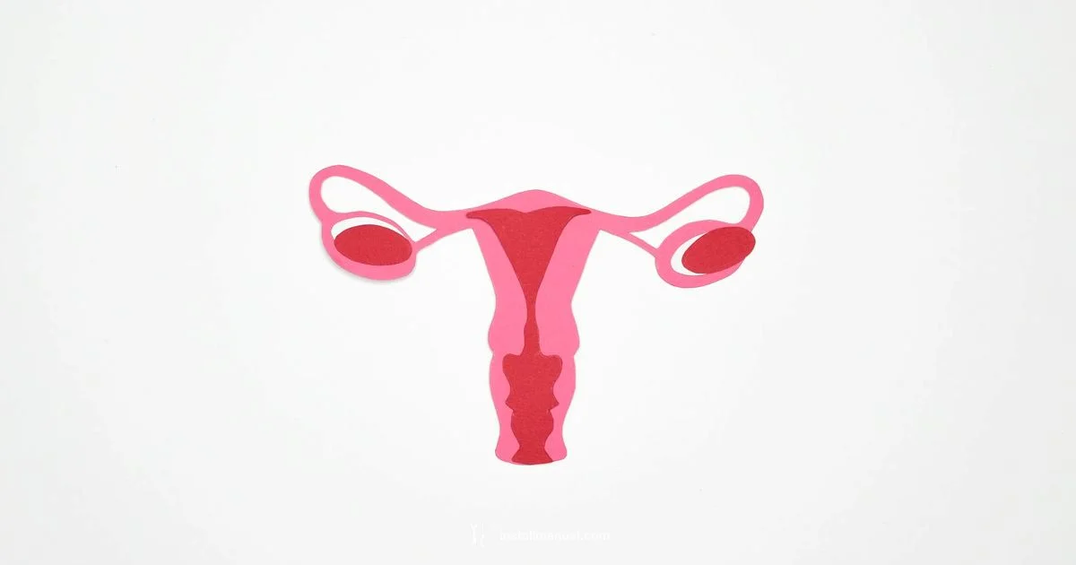 ADHD in Women ADHD in Women - Install Manual