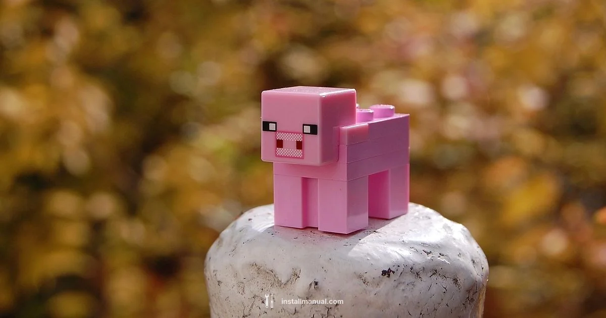 Minecraft Mod Installation Minecraft Mod Installation - Install Manual