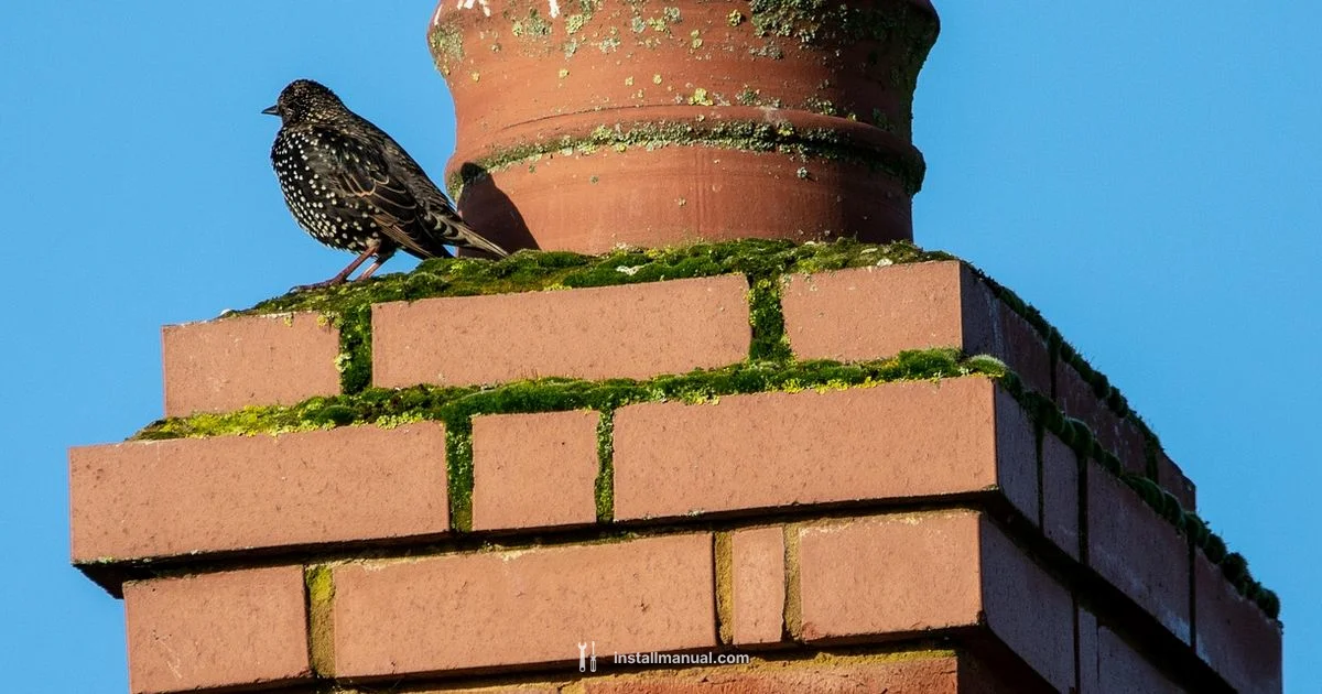 Starlink Install Cost - Install Manual