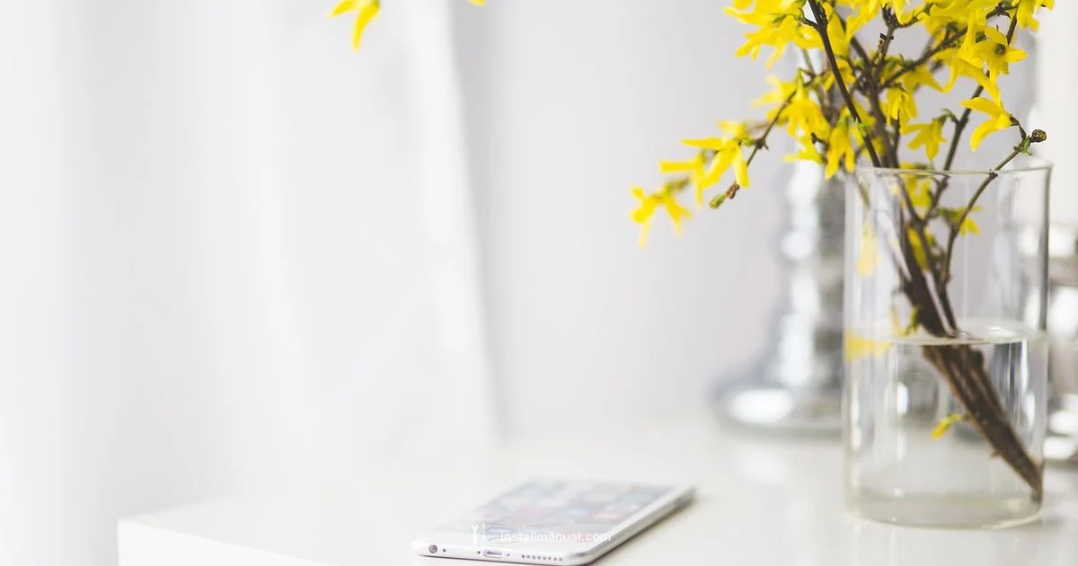 iOS Upgrade Ready iOS Upgrade Ready - Install Manual