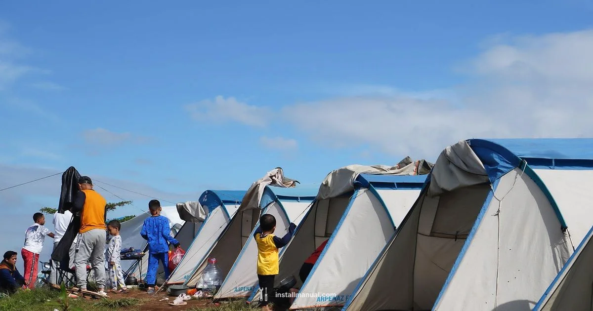 Forest Nights Install - Install Manual