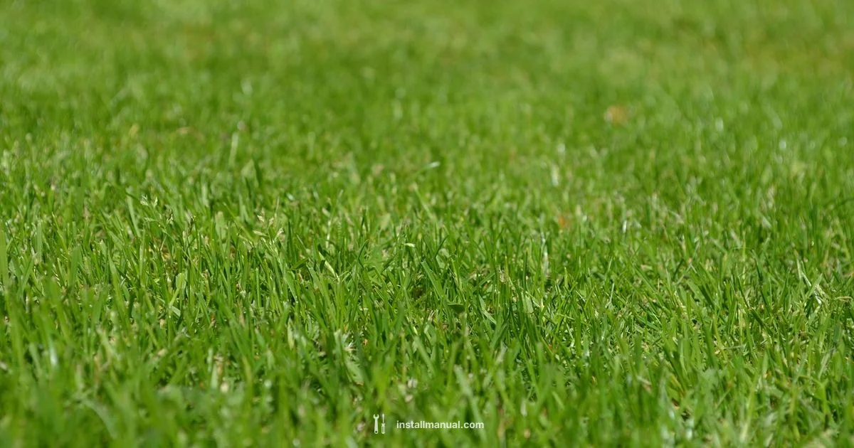 Lawn Upgrade - Install Manual