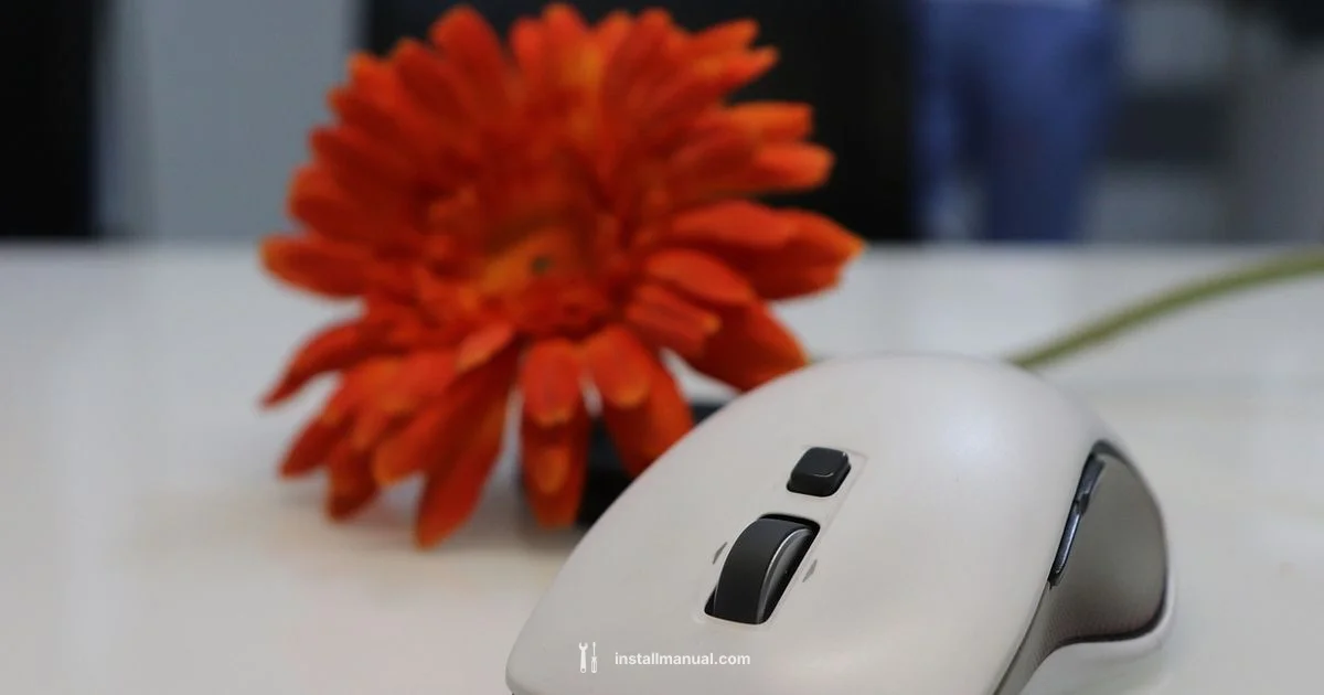 Linux Mint Install Guide - Install Manual