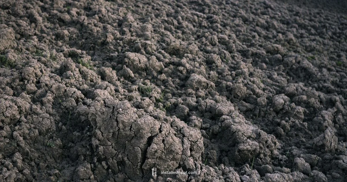 Affordable Sod Installers - Install Manual