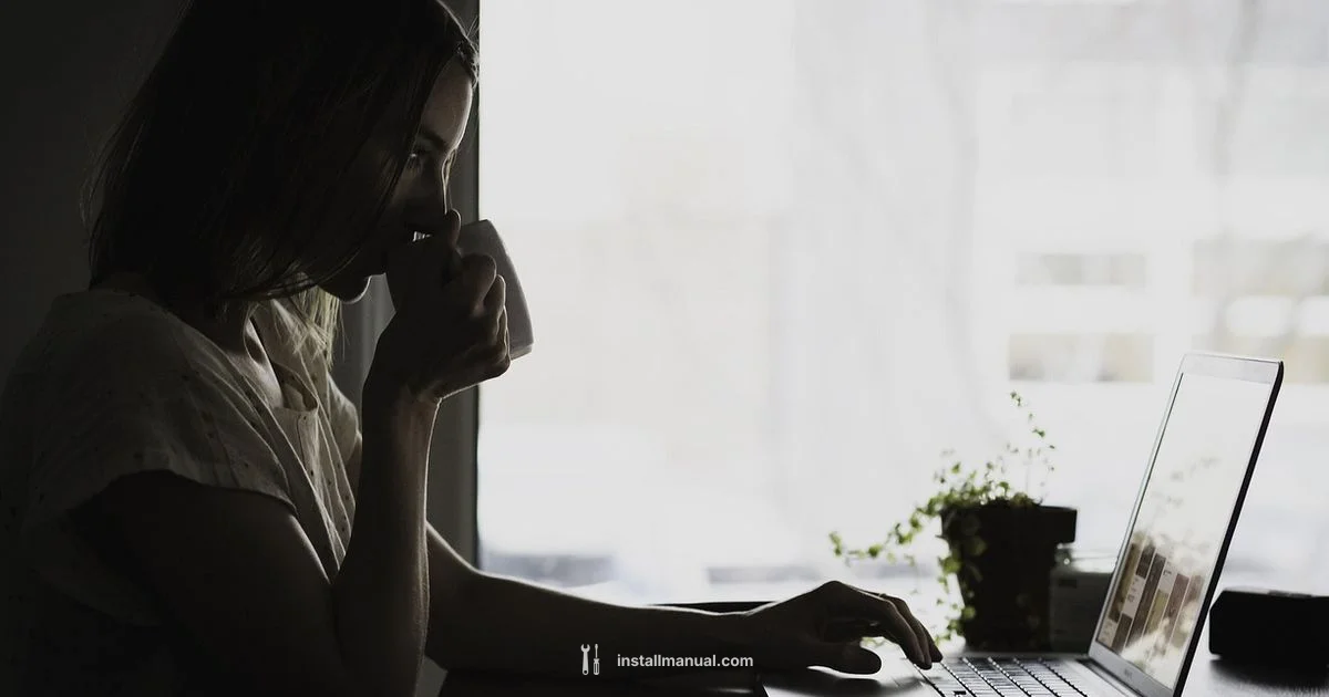 Gemini CLI Setup - Install Manual