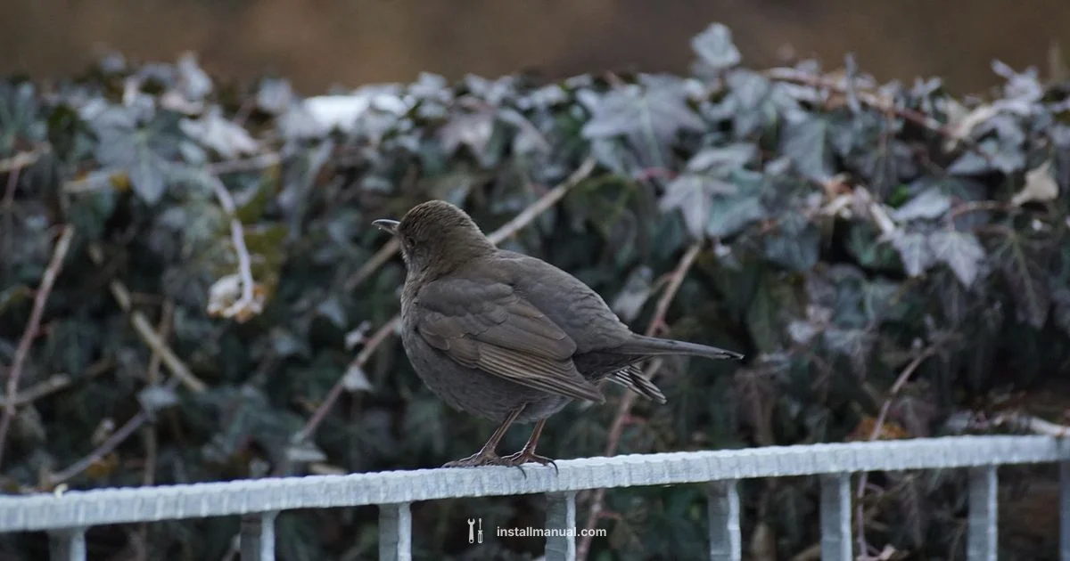 Fence Install Costs - Install Manual