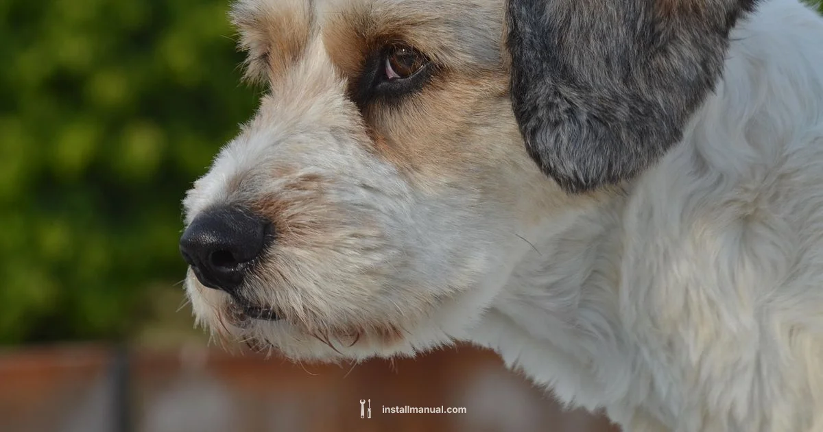 Windows USB Installer - Install Manual