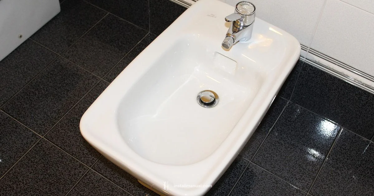 Bidet Leak Prevention Bidet Leak Prevention - Install Manual